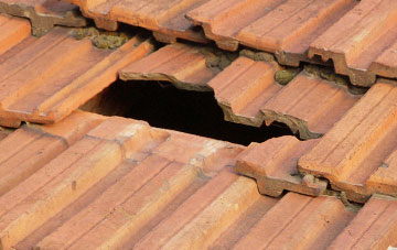 roof repair Knockarthur, Highland